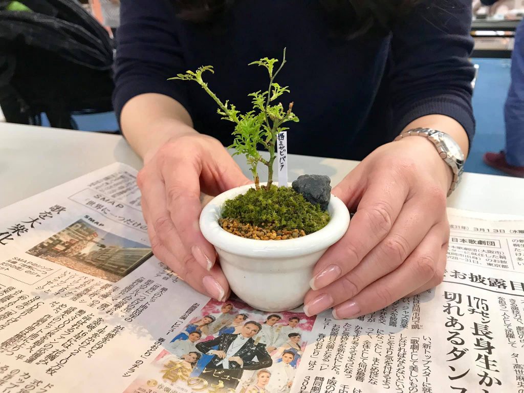 場所 職場の日当たりの良いところ Labotto Living Style