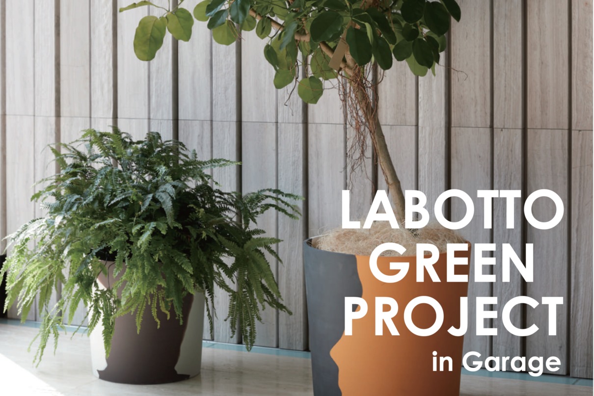 観葉植物が郡山で買える ラボット館内でグリーンインテリアが購入できるようになりました 11 14 土