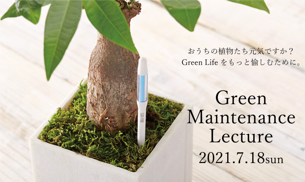 初心者も心配なし 観葉植物の水やり 手入れ 鉢替え グリーンメンテナンス講座7 18 開催