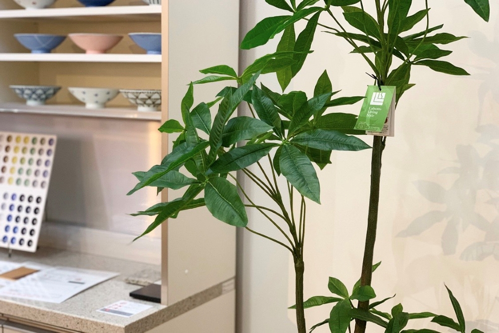 枯れず手入れが面倒くさくない観葉植物 光触媒加工がされた人工樹木が郡山で買える