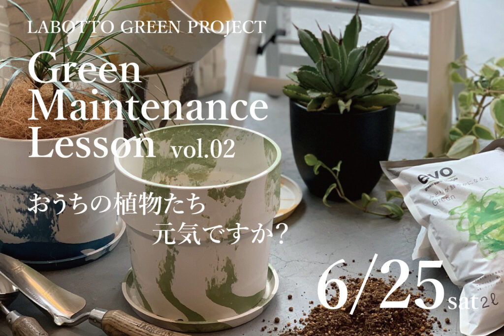 グリーンメンテナンス講座6 25 Vol 02 開催 植替えや剪定も実践しながら観葉植物の育て方をお教えします