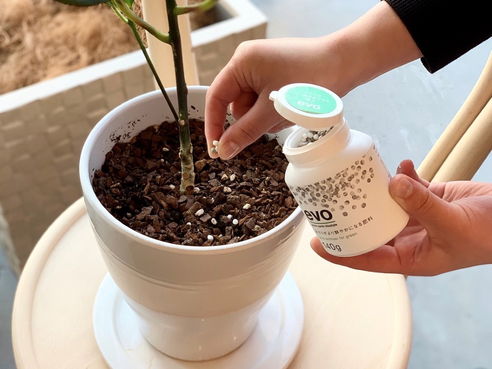 観葉植物にオススメな肥料「EVO」や「HYPONeX」などご紹介！使用方法や 