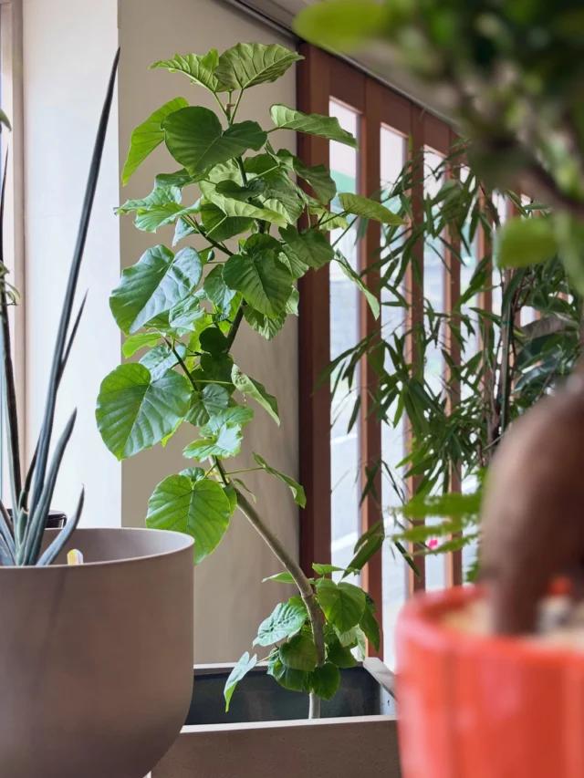 LABOTTO GREEN PROJECT - Labotto Living Style